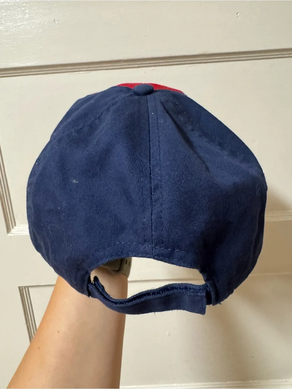Cub Scouts Wolf Hat